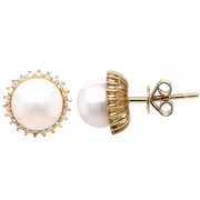 14k Yellow Gold Pearl Earrings with Diamond Halo